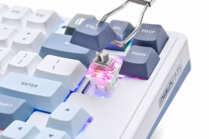 AULA F75 RGB